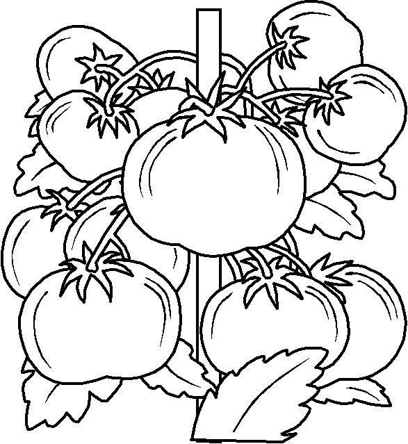 Plansa de colorat cu Toamna 55 132